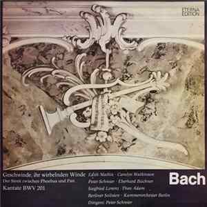 Bach - Geschwinde, Ihr Wirbelnden Winde (Der Streit Zwischen Phoebus Und Pan) Kantate BWV 201 flac