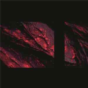 Some Science - Shapeshifters flac