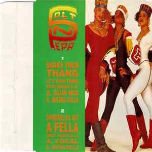 Salt-N-Pepa - Shake Your Thang / Spinderella's Not A Fella (But A Girl DJ) flac