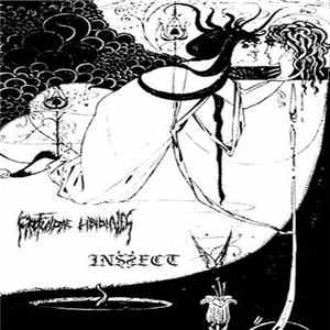 Profundae Libidines, Inssect - Profundae Libidines / Inssect flac