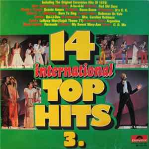 Various - 14 International Top Hits 3 flac