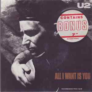 U2 - All I Want Is You flac