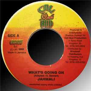 Jahmali - What's Going On flac
