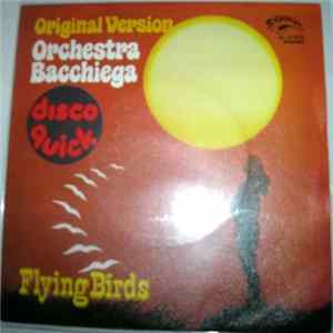 Orchestra Bacchiega - Flying Birds flac