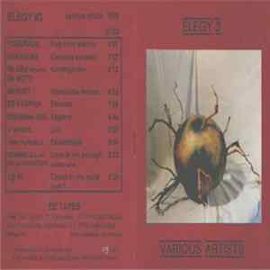 Various - Elegy #3 flac