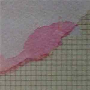 hiroshimabend - Live xPOL (Remastered) flac