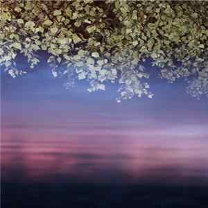 Anders Ilar - Traveller flac