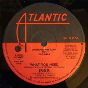 INXS - What You Need flac