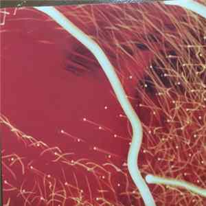 Passionflies - Passionflies flac