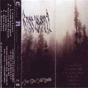 Ensis Aeterna - After The Cold Battle flac