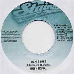 Busy Signal - Ackee Tree flac