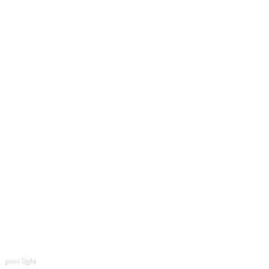Pure Light - Untitled flac
