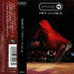 Prodigy - Smack My Bitch Up flac