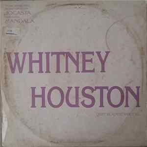 Whitney Houston - Didn't We Almost Have It All flac