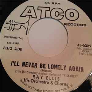 Ray Ellis - I'll Never Be Lonely Again flac