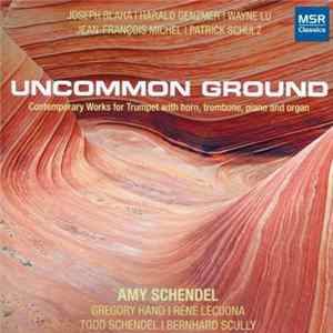 Amy Schendel - Uncommon Ground flac