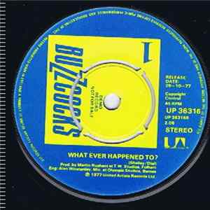 Buzzcocks - What Ever Happened To? flac