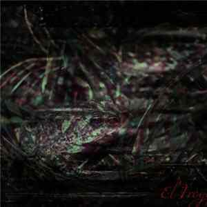 Skyscraperr - El Froggo Fuego flac