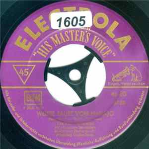 The Hilo Hawaiians - Weisse Taube Von Navajo flac