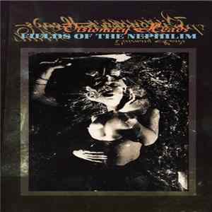 Fields Of The Nephilim - Visionary Heads flac