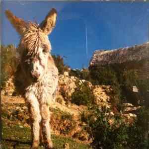 Various - Sugarcandymountain No 2 flac