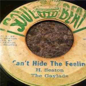 The Gaylads - Can't Hide The Feeling flac