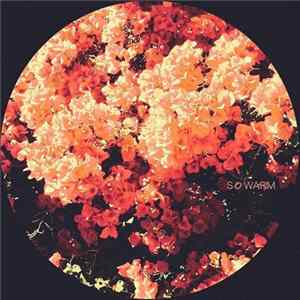 Various - So Warm flac