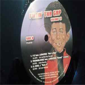 Various - Fillin' Tha Gap Volume 13 flac