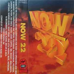 Various - Now That's What I Call Music 22 flac