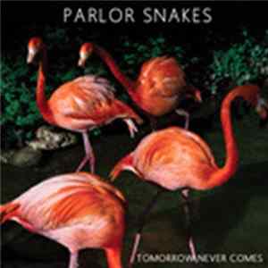 Parlor Snakes - Tomorrow Never Comes flac