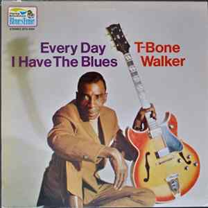 T-Bone Walker - Every Day I Have The Blues flac
