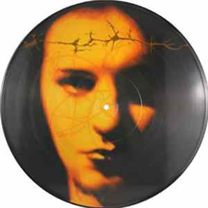 Apoptygma Berzerk flac
