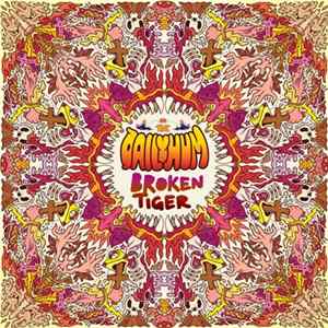 The Daily Hum - Broken Tiger flac