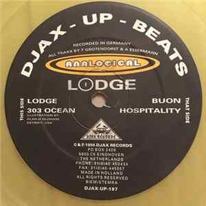 Analogical - Lodge flac