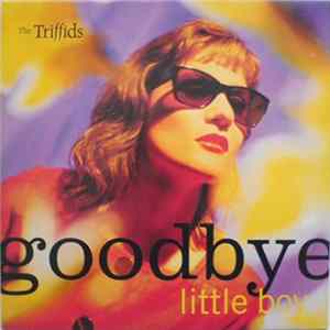 The Triffids - Goodbye Little Boy flac