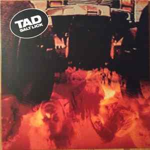 Tad - Salt Lick flac