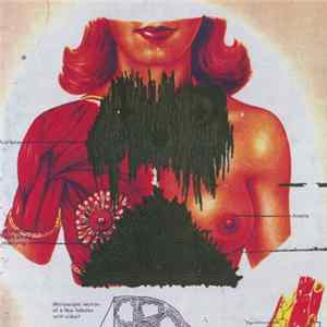 Villa Valley - Accused Breasts flac