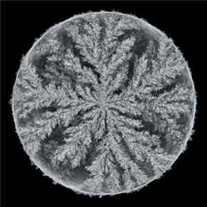 Max Cooper - Emergence Remixed flac