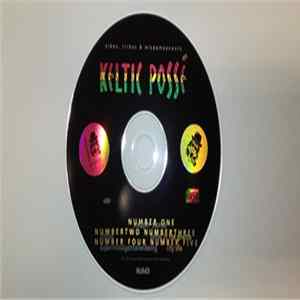 Keltic Possé - Vibes, Tribes & Misdemeanours flac