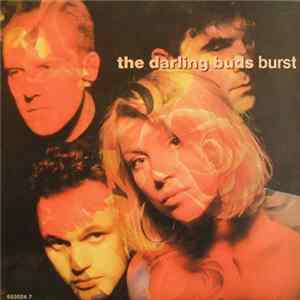 The Darling Buds - Burst flac