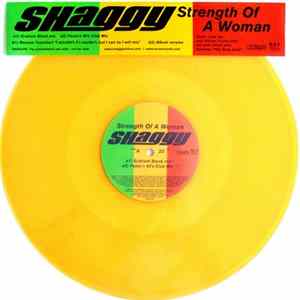 Shaggy - Strength Of A Woman flac