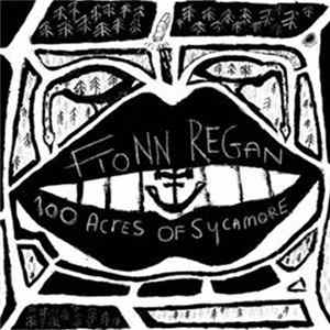 Fionn Regan - 100 Acres Of Sycamore flac