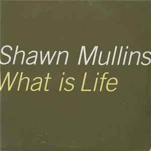 Shawn Mullins - What Is Life flac