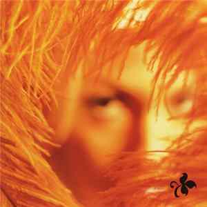 Stone Temple Pilots - Shangri-La Dee Da flac