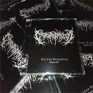 Catastrophicism - Promo 2017 flac