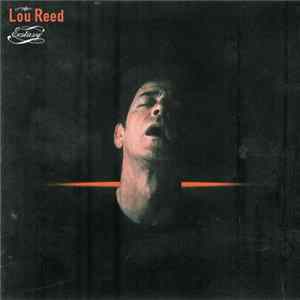 Lou Reed - Ecstasy flac
