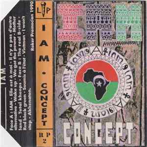IAM - Concept flac