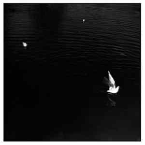 OVVN - BLOVVN flac