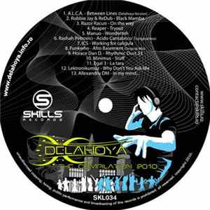 Various - Delahoya - The Compilation 2010 flac