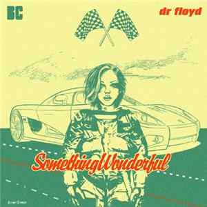 Dr Floyd - Something Wonderful flac